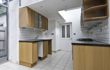 Capel Hendre kitchen extension leads